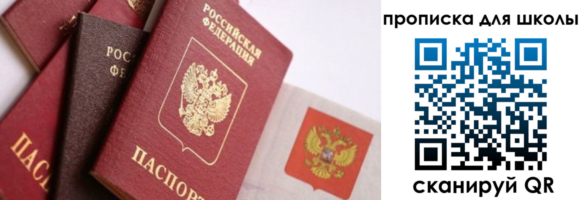 прописка поиск в Омске